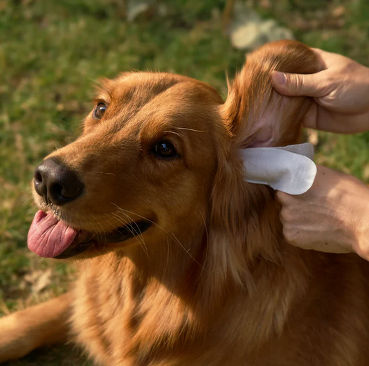 Finger Ear Wipes