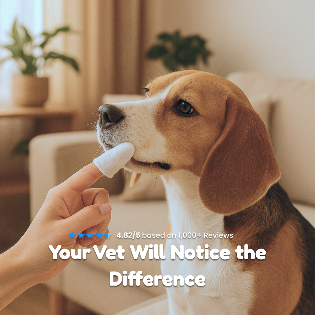 Natural Pet Dental Finger Wipes