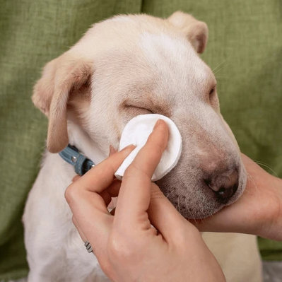 Eye Cleaning Wipes